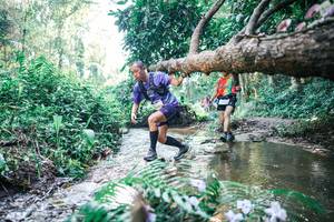 BIB: 
                            <button type="button" onclick="openModal(25446336)" class="btn btn-primary btn-sm float-right btn-popup" data-toggle="modal" data-target=".modal-high-quality">
                        <i class="fas fa-shopping-cart"></i> Add to Cart
                    </button>
                                            <button type="button" onclick="isThisMe(25446336, true)" class="btn btn-success btn-sm float-right btn-popup btn-isme hidden" data-toggle="tooltip" data-placement="bottom" title="นี่คือรูปของคุณใช่ไหม คลิกที่นี่เพื่อเอาเข้าอัลบั้ม">
                        <i class="fas fa-plus"></i> Add to album
                    </button>
                    <button type="button" onclick="isThisMe(25446336, false)" class="btn btn-warning btn-sm float-right btn-popup btn-isnotme hidden">
                        <i class="fas fa-ban"></i> Remove from album
                    </button>